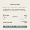 Gut Brain Support