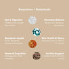 Gut & Hormone Reset